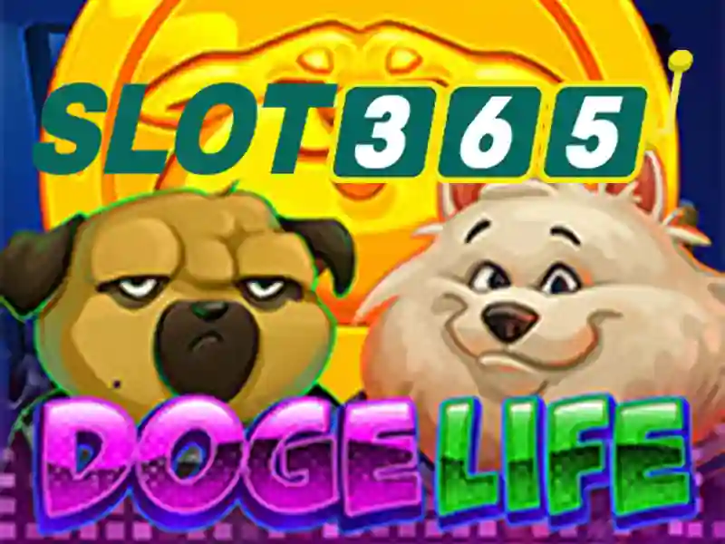 slot365 có uy tín không – Đánh giá Slot365 và an toàn