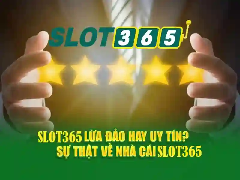 slot365 là gì và cách hoạt động của Slot365 chính thức