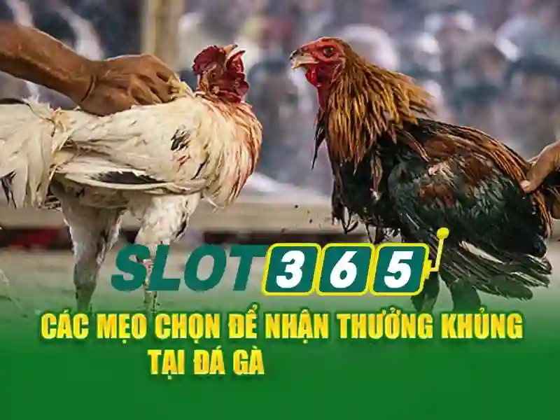 Tổng quan chủ đề và giá trị cốt lõi