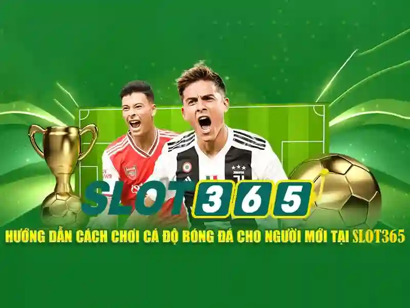 Slot365 chính thức – tổng quan và giá trị cốt lõi