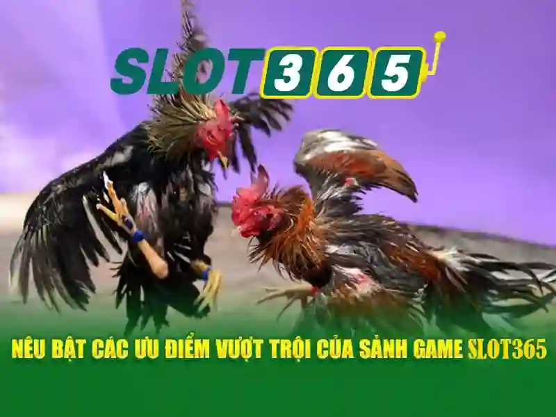slot365 tặng 200k – Trải nghiệm và lợi ích vượt trội