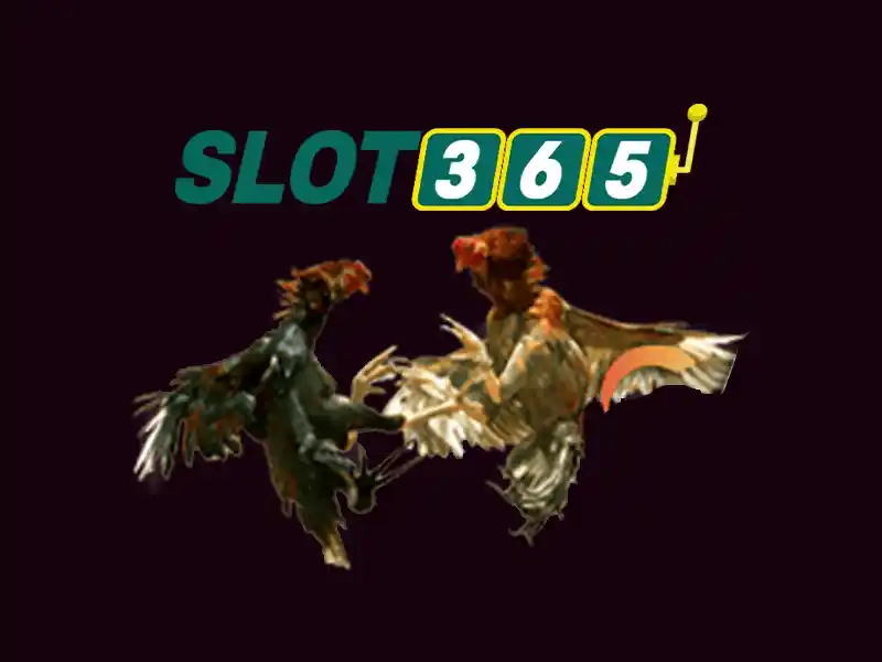 slot365 slot – Khám phá giá trị và trải nghiệm