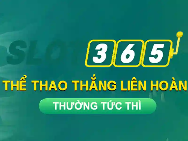 slot365 .com: Trải nghiệm, Đánh giá và Tương lai