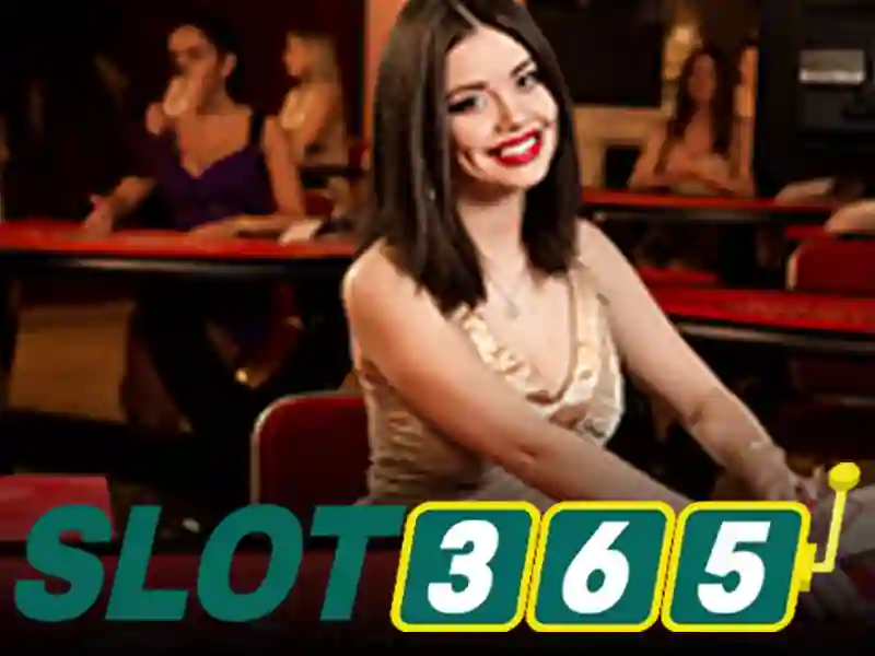 slot365 .com: Trải nghiệm, Đánh giá và Tương lai