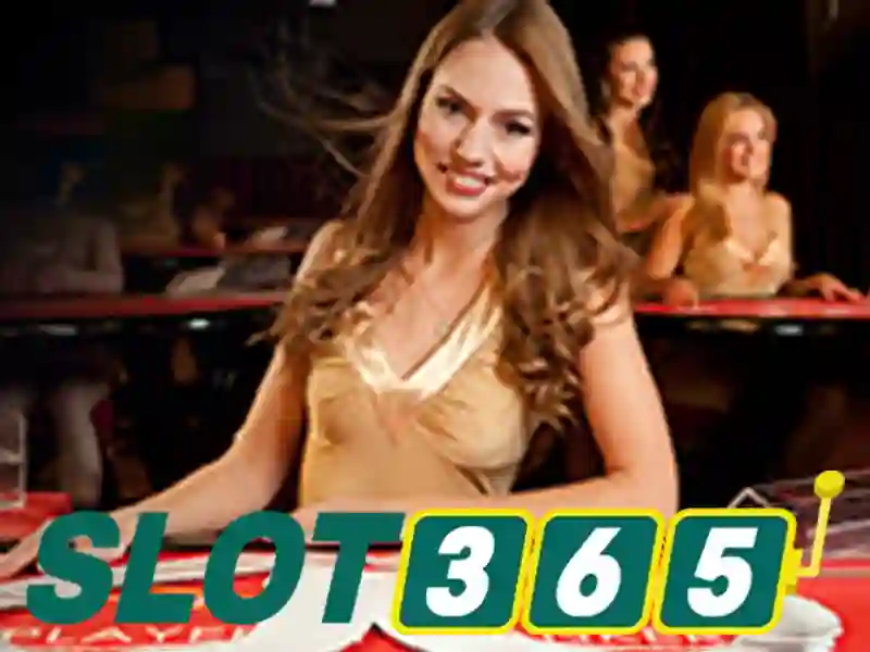 slot365 tảng 200k – khám phá giá trị, trải nghiệm và tăng trưởng
