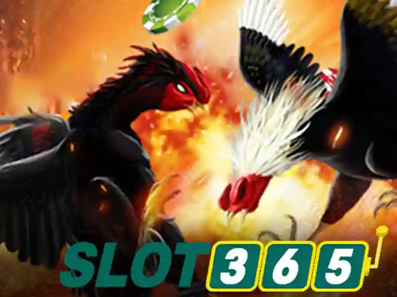 slot365 vip – Tổng quan và trải nghiệm