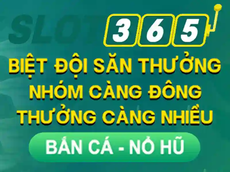 Tổng quan slot365