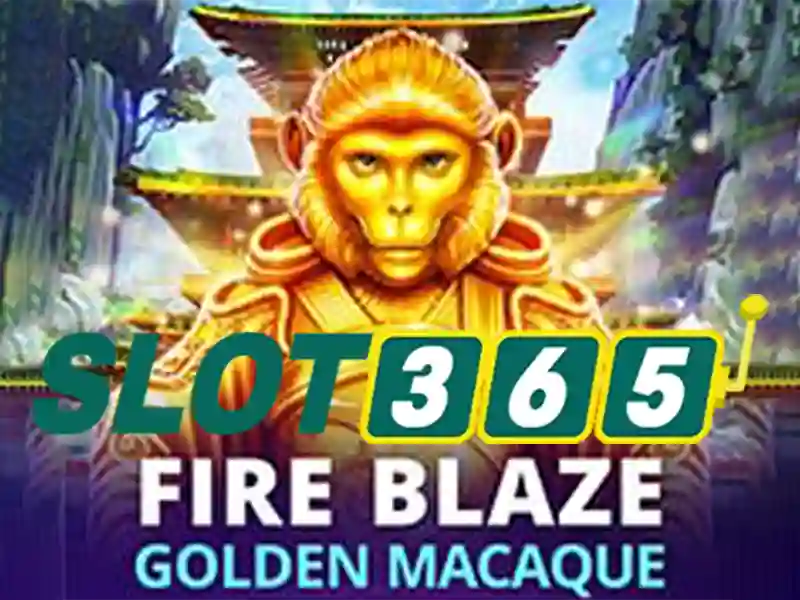 slot365 có uy tín không – Đánh giá Slot365 và an toàn